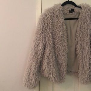 Light gray sheep coat